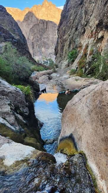 Hot Springs Hike at Goldstrike Canyon Six Steamy Waterfall - What Makes This Tour Stand Out?