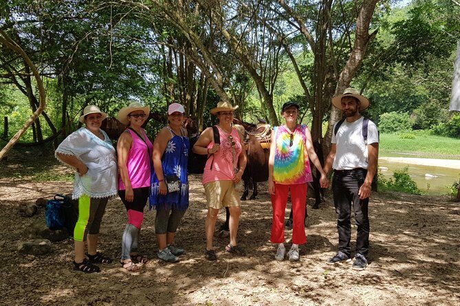 Hot Springs Horseback Riding Adventure - What to Expect on the Tour