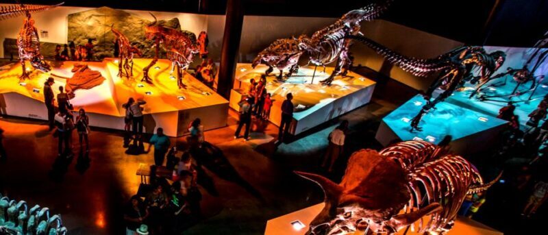 Houston: 1-Day or 3-Day Museum Pass - Exploring Houston’s Museum Scene with the Pass