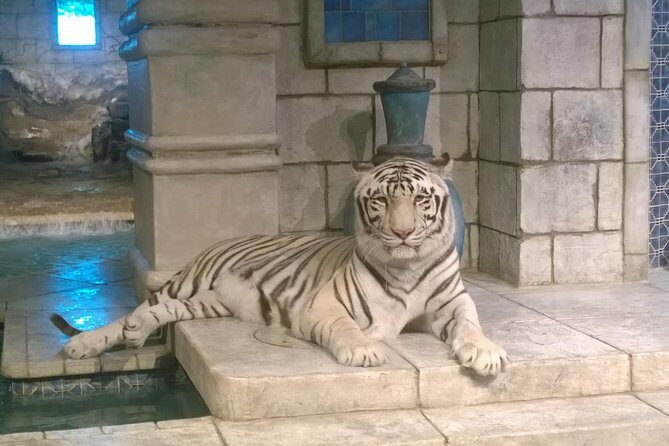 Houston City Tour and Downtown Aquarium All Rides Pass - Final Thoughts