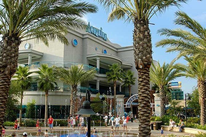 Houston CityPASS® - Is It Worth the Price?