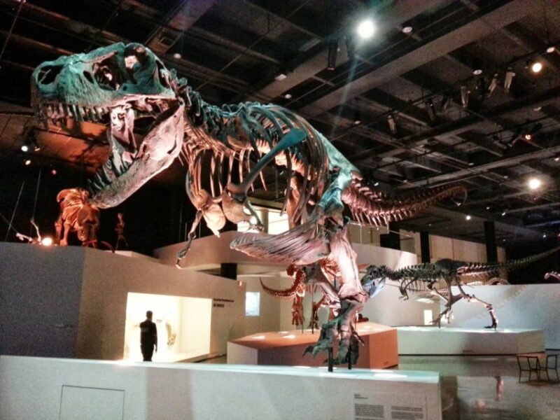 Houston CityPASS®: Save up to 51% at 5 Top Attractions - Who Should Consider the Houston CityPASS®?