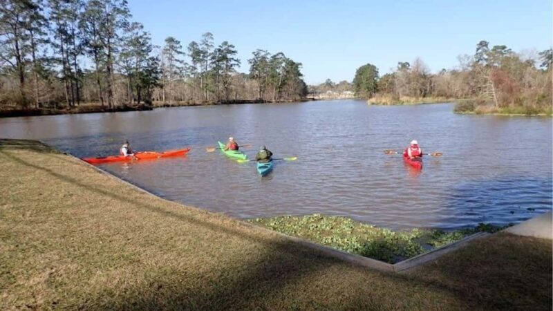 Houston: Luce Bayou Kayaking Tour - Key Points