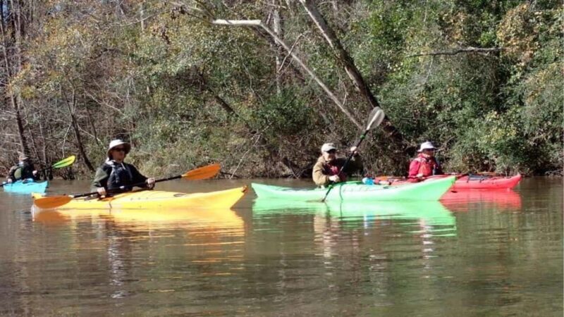 Houston: Luce Bayou Kayaking Tour - The Experience in Detail