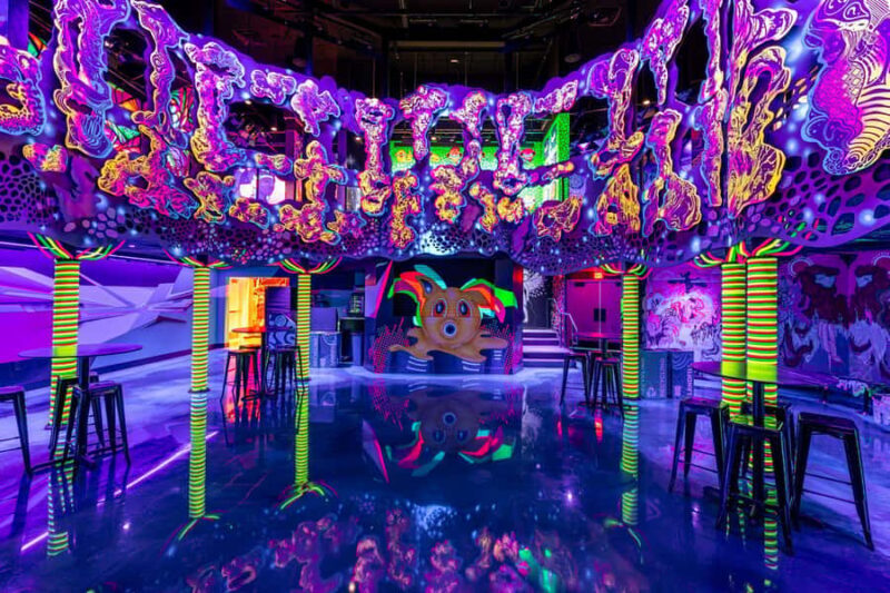 Houston: Meow Wolf - Radio Tave Ticket - Key Points