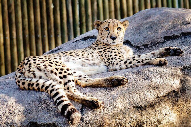 Houston Self-Guided Audio Tour - Key Points