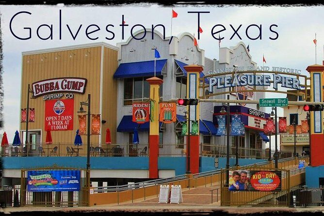 Houston Sightseeing Tour and Galveston Day Trip - Who Should Consider This Tour?