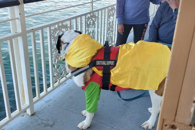 Howl O Ween Doggy Costume Party Cruise - Key Points