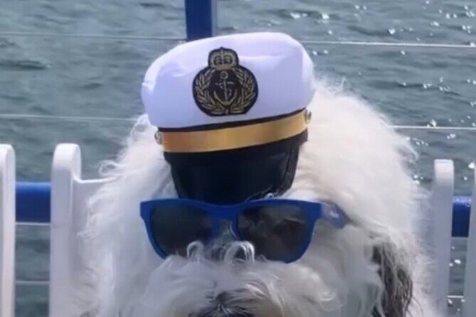 Howl O Ween Doggy Costume Party Cruise - What is the Howl O Ween Doggy Costume Party Cruise?