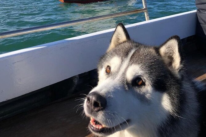 Howth Cliffs and Ireland's Eye Ferry Boat Tour - Captain Mark and the Commentary Mix: How to Get the Most Out of the Audio
