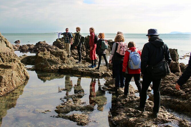 Howth Safari Hiking Tour - Why This Tour Stands Out