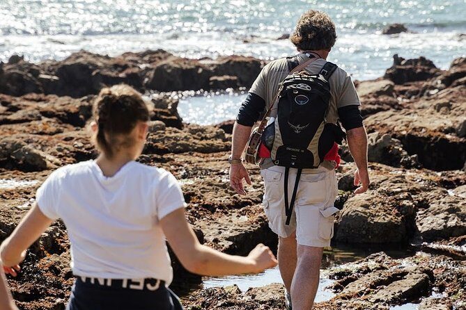 Howth Safari Hiking Tour - Final Thoughts: Is This Tour Right for You?