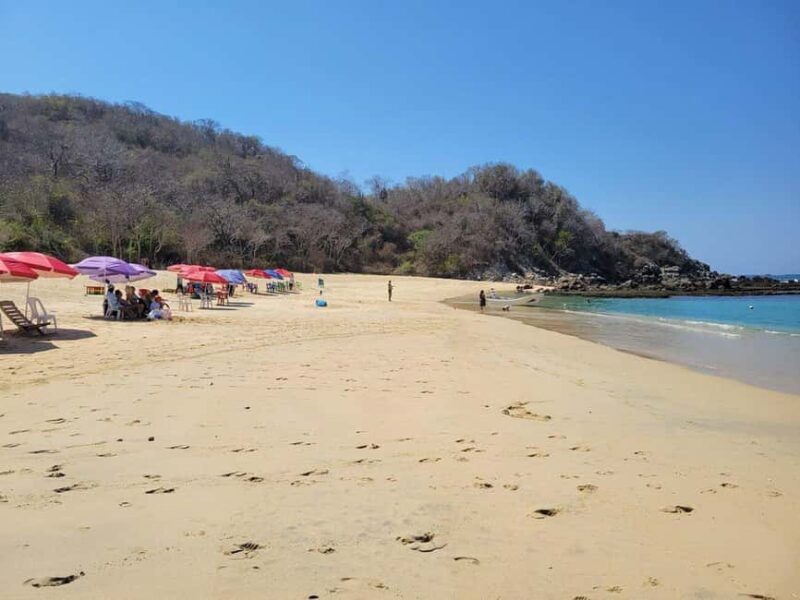 Huatulco: 7 Bays Boat Tour with Snorkeling and Lunch - Who Is This Tour Best For?