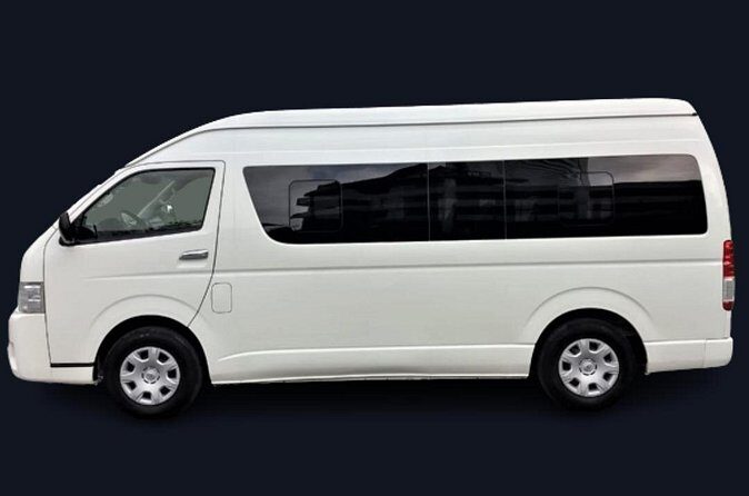 Huatulco Airport Transfer Private Service - Who Is This Transfer Best For?