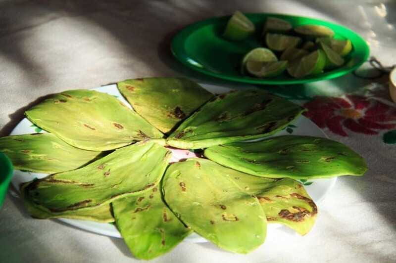 Huatulco: Authentic Rural Mexican Experience Adventure - FAQ About the Huatulco Rural Experience Adventure