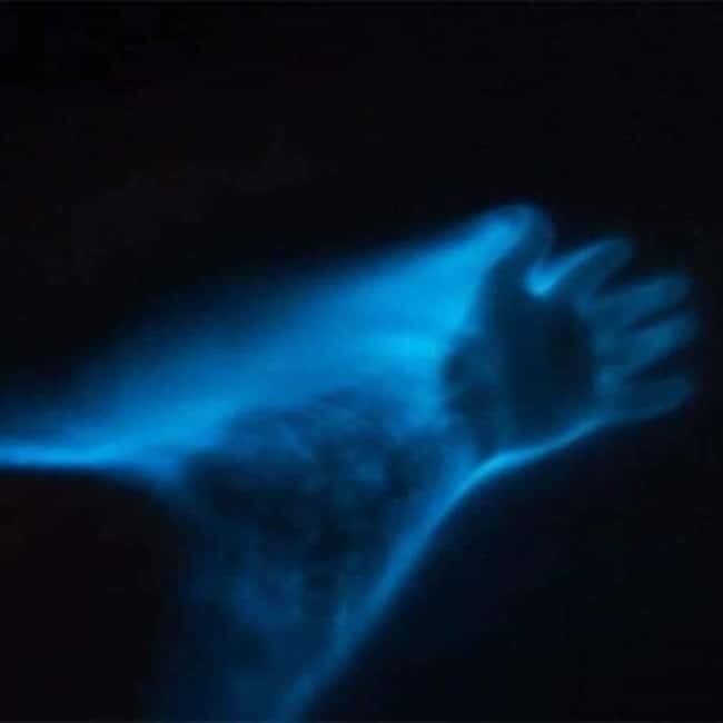 Huatulco: Bio and Liberation Tour - Who Is This Tour Best For?