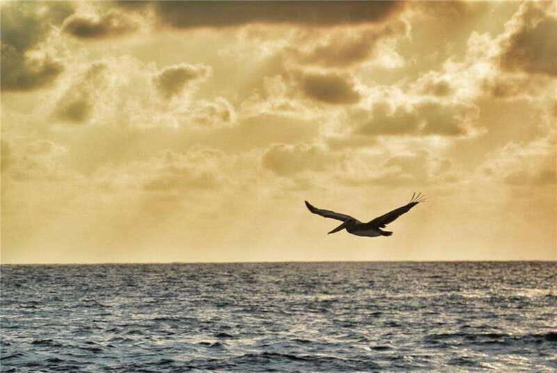 Huatulco: City Tour and Viewpoints - Who Should Consider This Tour?