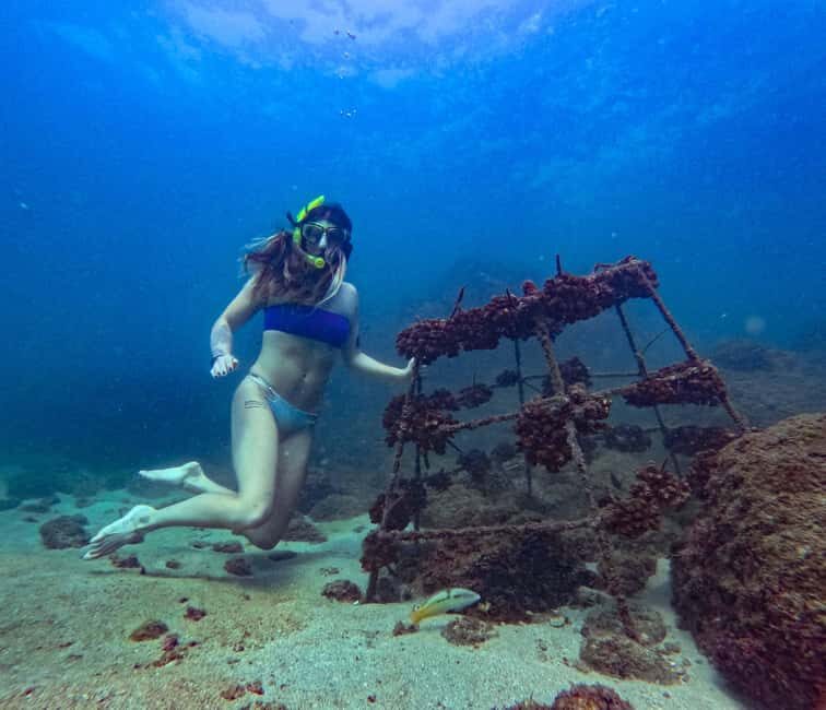 Huatulco: Hidden Beach & Snorkeling Adventure Tour - Who Is This Tour Best For?