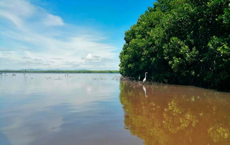 Huatulco: Laguna de Chacahua Exploration - Who Is This Tour Best For?