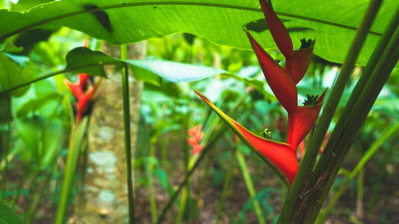 Huatulco: Nature Park with Fruit Tasting & Optional Zipline - Final Thoughts