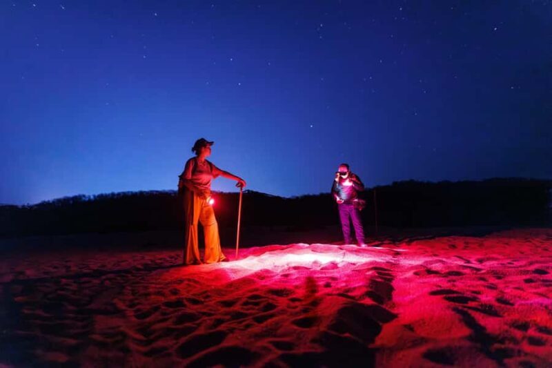 Huatulco: Nighttime Sea Turtle Monitoring guided by a biologist - Practical Tips & Things to Keep in Mind