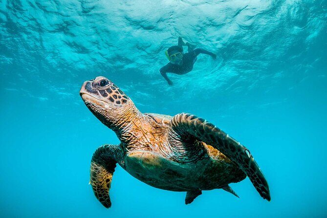 Huatulco Ocean, Bays & Coral Reef Snorkeling Adventures - Key Points