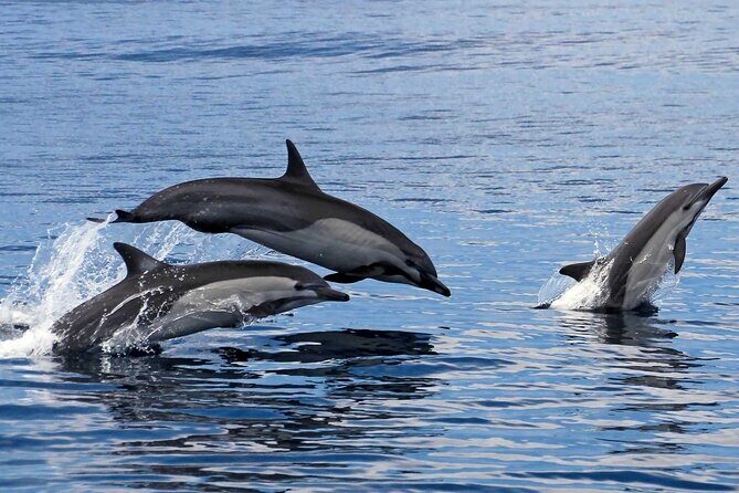 Huatulco Ocean, Bays & Coral Reef Snorkeling Adventures - Final Thoughts: Is This Tour Right for You?