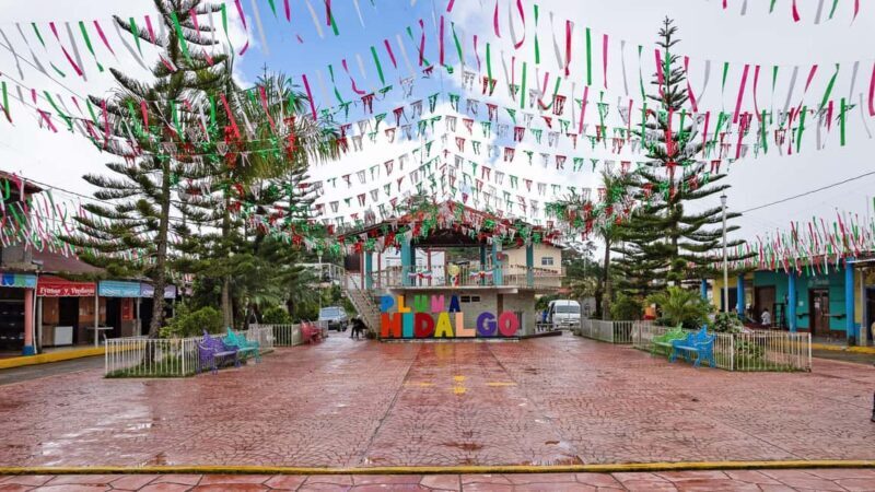 Huatulco: Pluma Hidalgo Coffee Origin and Essence. - What is the Pluma Hidalgo Coffee Tour All About?