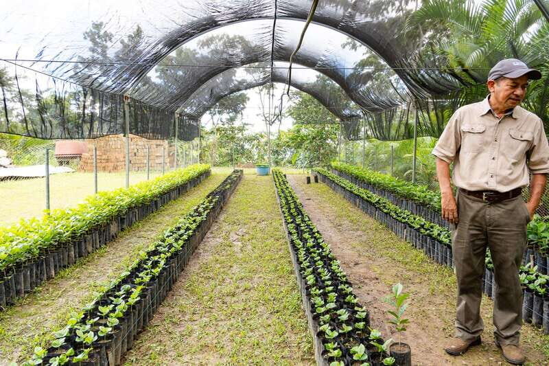 Huatulco: Pluma Hidalgo Coffee Origin and Essence. - Who Should Consider This Tour?