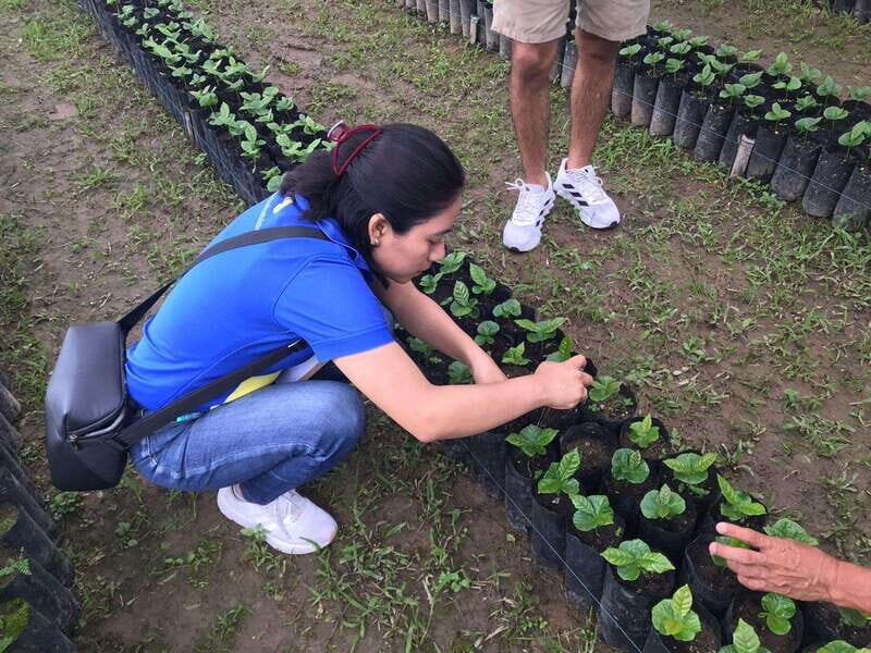 Huatulco: Pluma Hidalgo Coffee Origin and Essence. - FAQs