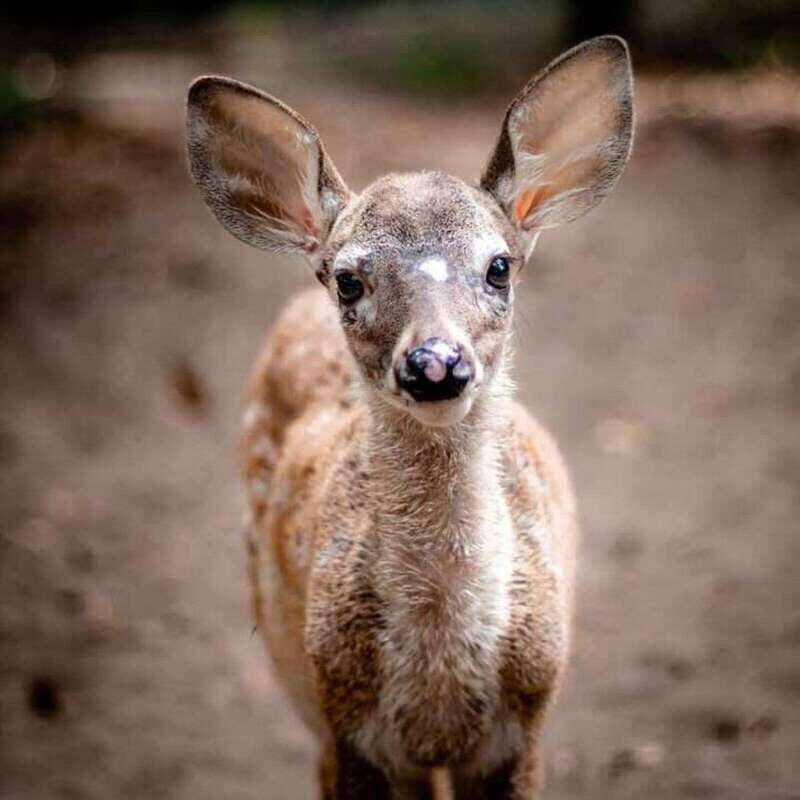 Huatulco: Puerto Angel, Zipolite, and Mazunte Day Trip - Who Will Love This Tour?