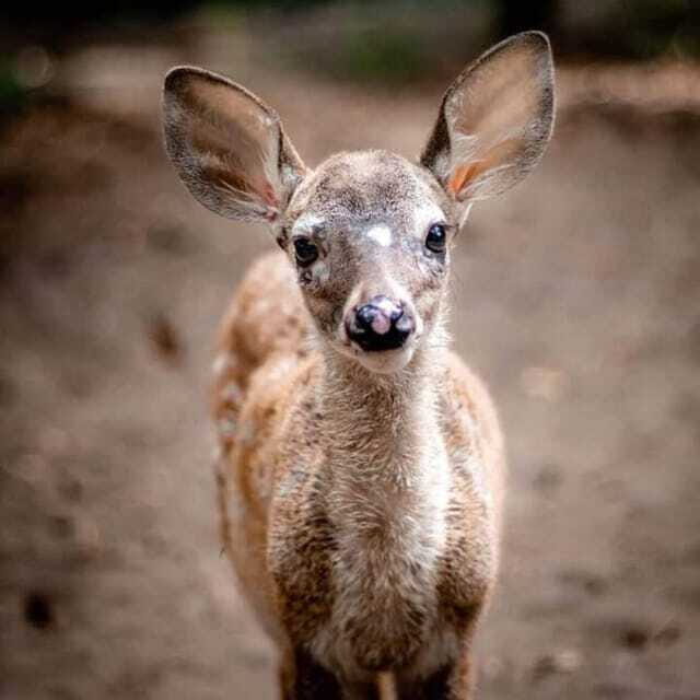 Huatulco: Puerto Angel, Zipolite, and Mazunte Day Trip - Final Thoughts