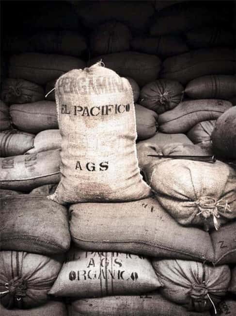 Huatulco: Santa Maria and Pluma Hidalgo Coffee Tour - Discovering the Charm of Santa Maria Huatulco