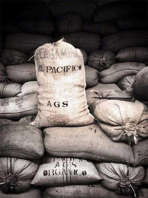 Huatulco: Santa Maria and Pluma Hidalgo Coffee Tour - Panoramic Views and Photo Opportunities