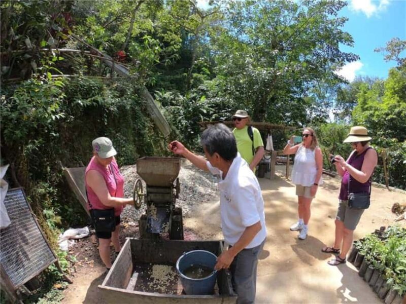 Huatulco: Santa Maria and Pluma Hidalgo Coffee Tour - Final Thoughts on Value and Suitability
