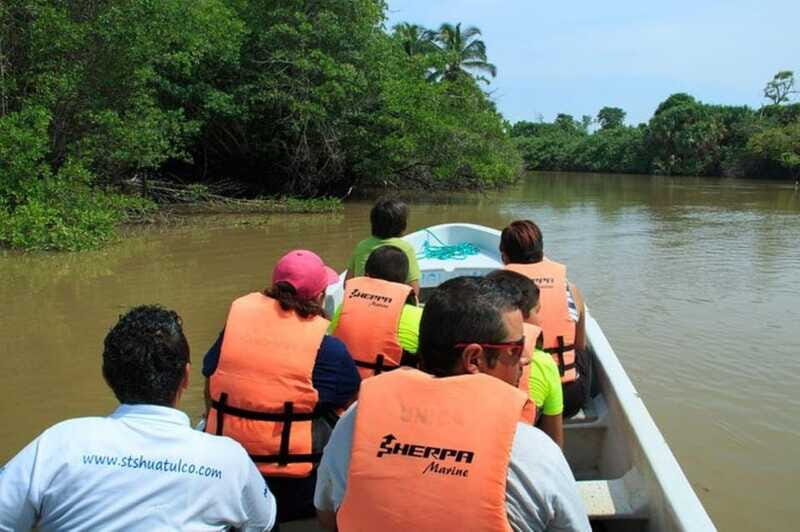 Huatulco: Turtles & Crocs Experience - Is the Tour Worth It?