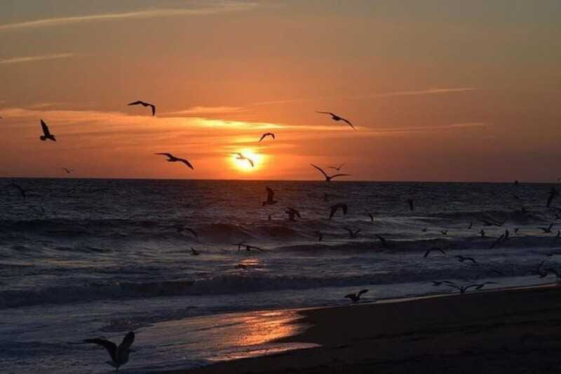 Huatulco: Unique Turtle Sanctuary & Sunset Experience - The Scenic Element: Sunset Over the Pacific