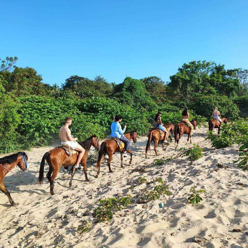 Huatulco:Turtle release,horseback riding and bioluminescence - Key Points
