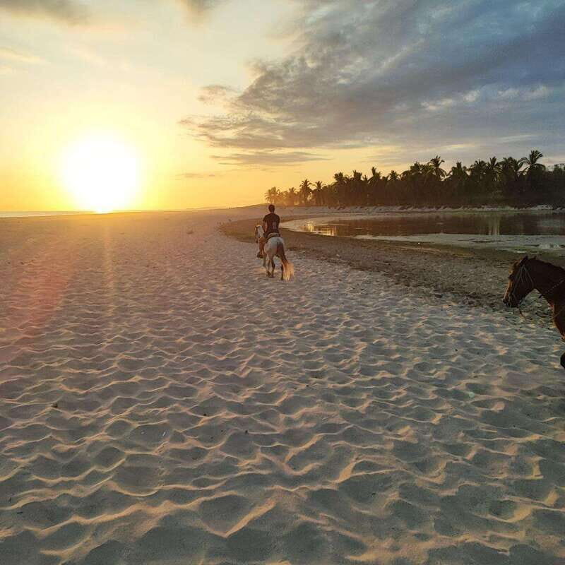 Huatulco:Turtle release,horseback riding and bioluminescence - The Value for Your Money