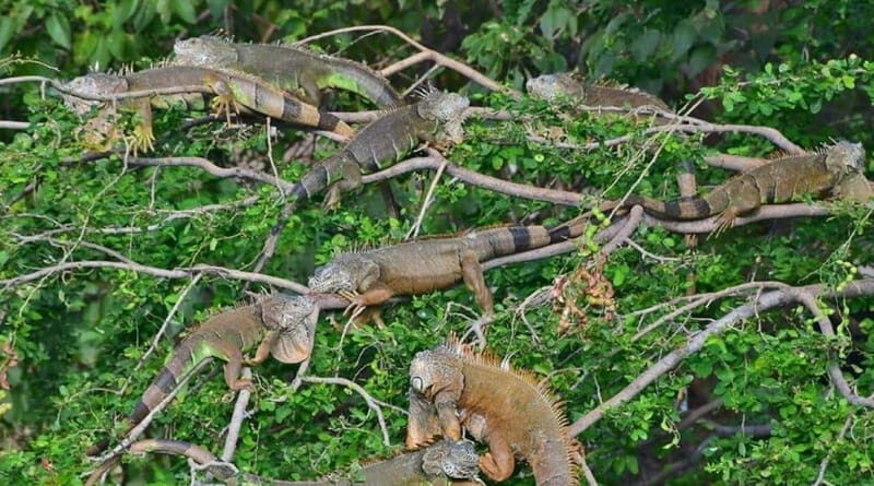 Huatulco:Ventanilla, Zipolite,Mazunte, and Puerto Angel Tour - What to Expect from the Tour