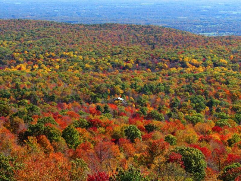 Hudson Valley Fall Foliage Shared Helicopter Tour - The Sum Up