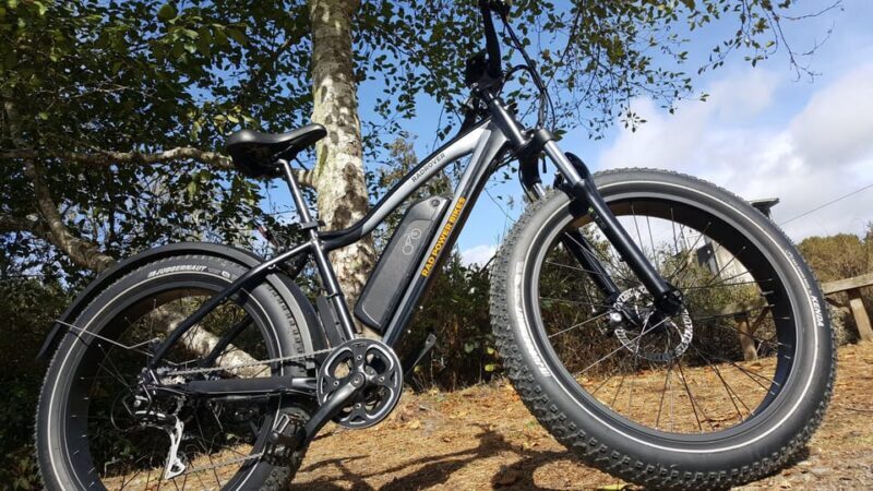 Humboldt: Electric Bike Rentals (4-Hour or Full Day options) - A Full Look at the Experience