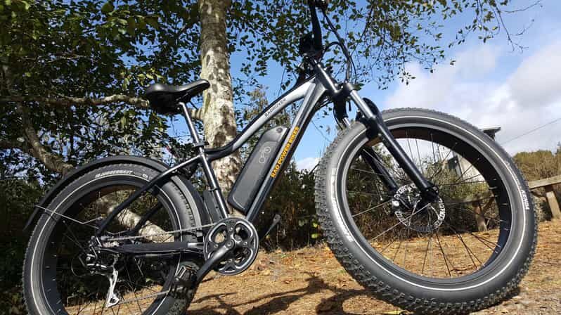 Humboldt: Electric Bike Rentals (4-Hour or Full Day options) - The Sum Up