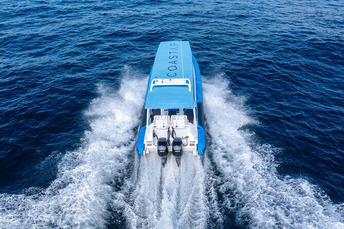 Humpback Whale Encounter Tour from Newcastle - The Value of This Experience