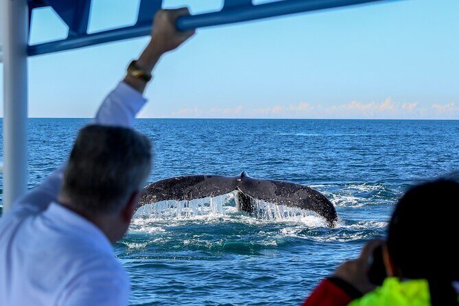 Humpback Whale Encounter Tour from Newcastle - Who Should Consider This Tour?