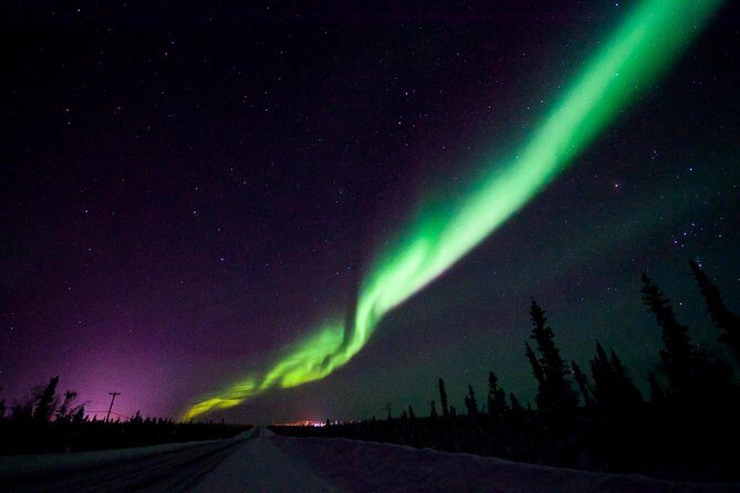 Hunt for the Northern lights in Kiruna - Abisko - What the Reviews Say