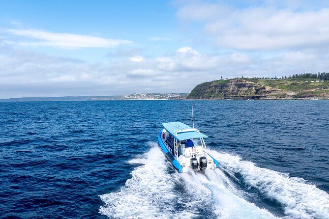 Hunter Coastal Adventure Tour by Boat from Newcastle - FAQs