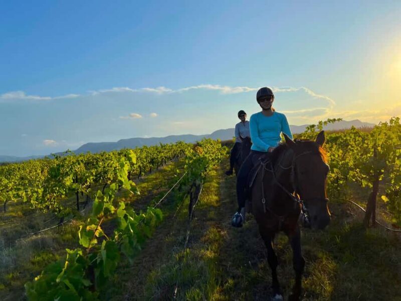 Hunter Valley: Sunset Horse Riding Tour 90min - What to Expect from the Sunset Horse Riding Tour