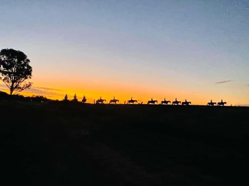Hunter Valley: Sunset Horse Riding Tour 90min - Practicalities and Logistics