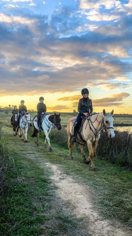 Hunter Valley: Sunset Horse Riding Tour 90min - Who Will Love This Tour?